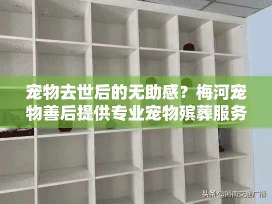 宠物去世后的无助感？梅河宠物善后提供专业宠物殡葬服务解决方案