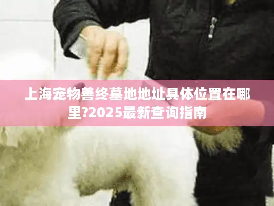 上海宠物善终墓地地址具体位置在哪里?2025最新查询指南
