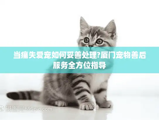 当痛失爱宠如何妥善处理?厦门宠物善后服务全方位指导