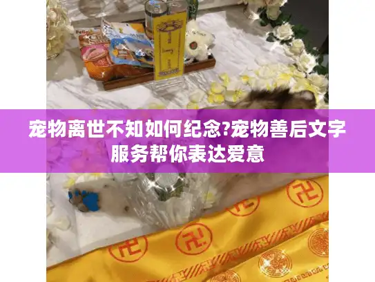 宠物离世不知如何纪念?宠物善后文字服务帮你表达爱意