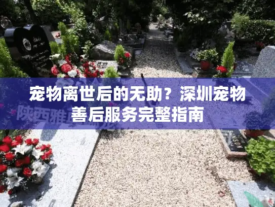 宠物离世后的无助？深圳宠物善后服务完整指南