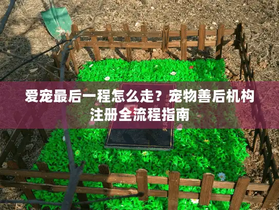 爱宠最后一程怎么走？宠物善后机构注册全流程指南