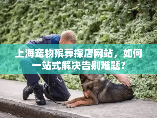 上海宠物殡葬探店网站，如何一站式解决告别难题？