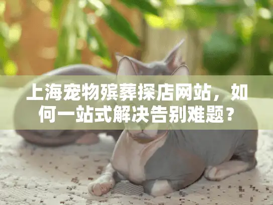 上海宠物殡葬探店网站，如何一站式解决告别难题？