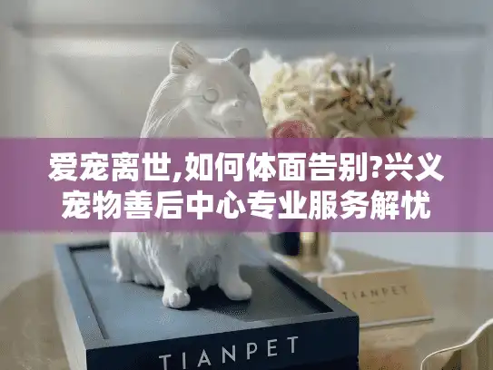 爱宠离世,如何体面告别?兴义宠物善后中心专业服务解忧