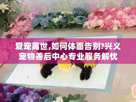 爱宠离世,如何体面告别?兴义宠物善后中心专业服务解忧