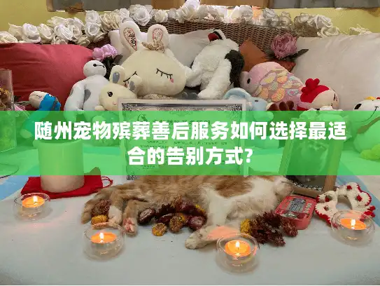 随州宠物殡葬善后服务如何选择最适合的告别方式?