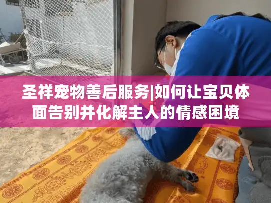 圣祥宠物善后服务|如何让宝贝体面告别并化解主人的情感困境