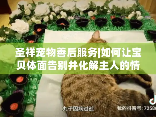 圣祥宠物善后服务|如何让宝贝体面告别并化解主人的情感困境