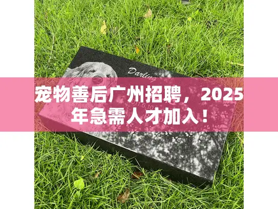 宠物善后广州招聘，2025年急需人才加入！