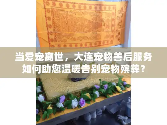 当爱宠离世，大连宠物善后服务如何助您温暖告别宠物殡葬？