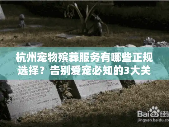 杭州宠物殡葬服务有哪些正规选择？告别爱宠必知的3大关键点