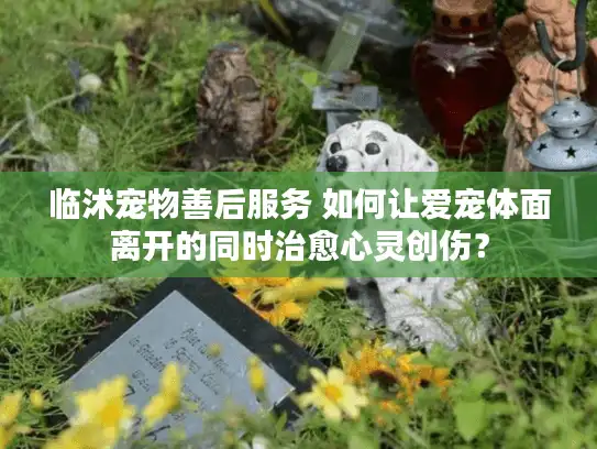 临沭宠物善后服务 如何让爱宠体面离开的同时治愈心灵创伤？