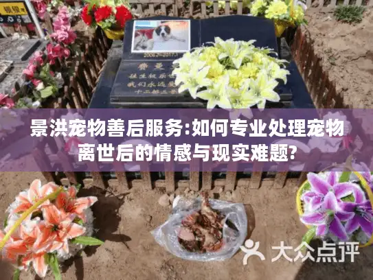 景洪宠物善后服务:如何专业处理宠物离世后的情感与现实难题?