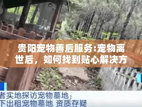 贵阳宠物善后服务:宠物离世后，如何找到贴心解决方案？