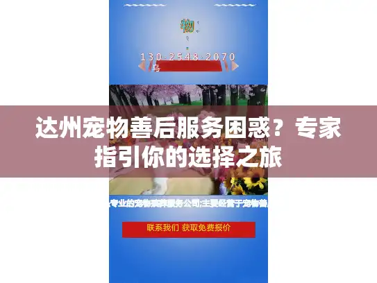 达州宠物善后服务困惑？专家指引你的选择之旅