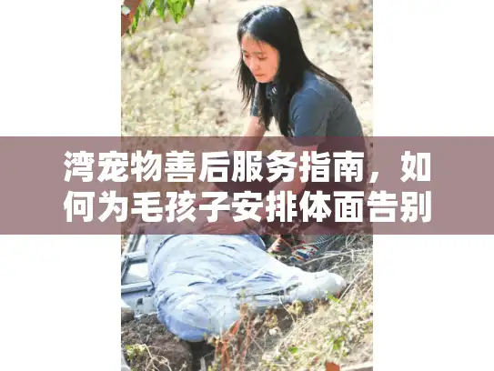 湾宠物善后服务指南，如何为毛孩子安排体面告别