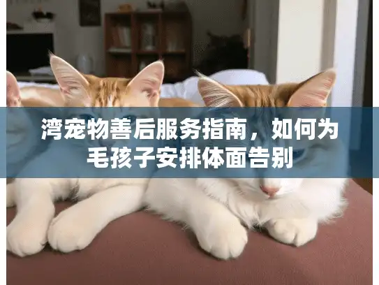湾宠物善后服务指南，如何为毛孩子安排体面告别