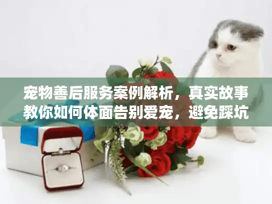 宠物善后服务案例解析，真实故事教你如何体面告别爱宠，避免踩坑