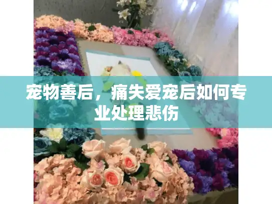 宠物善后，痛失爱宠后如何专业处理悲伤