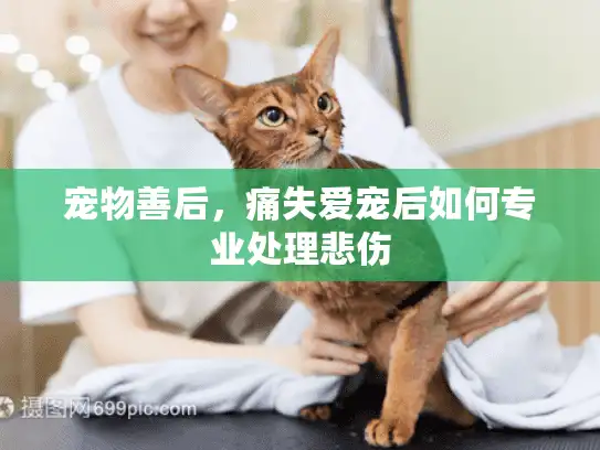 宠物善后，痛失爱宠后如何专业处理悲伤