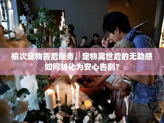 榆次宠物善后服务，宠物离世后的无助感如何转化为安心告别？