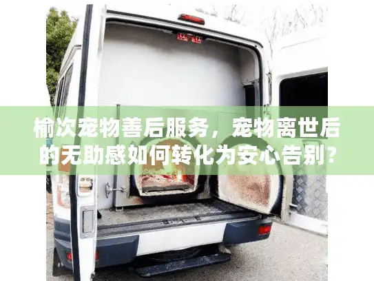 榆次宠物善后服务，宠物离世后的无助感如何转化为安心告别？