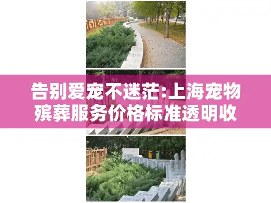 告别爱宠不迷茫:上海宠物殡葬服务价格标准透明收费全解析