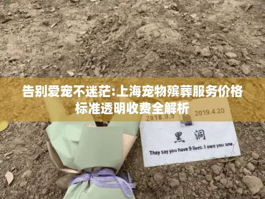 告别爱宠不迷茫:上海宠物殡葬服务价格标准透明收费全解析