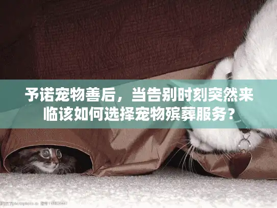 予诺宠物善后，当告别时刻突然来临该如何选择宠物殡葬服务？