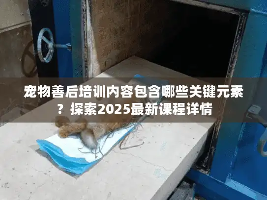 宠物善后培训内容包含哪些关键元素？探索2025最新课程详情