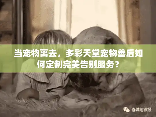当宠物离去，多彩天堂宠物善后如何定制完美告别服务？