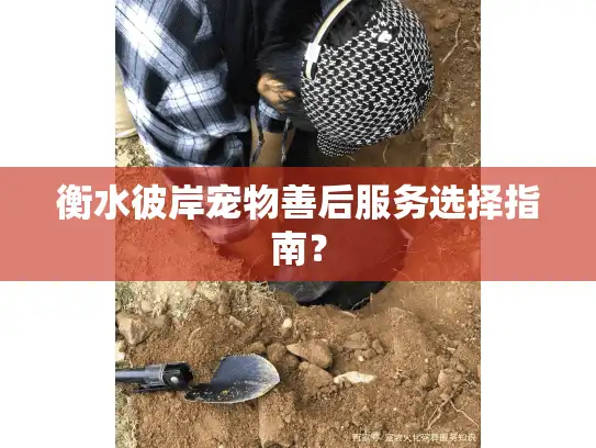 衡水彼岸宠物善后服务选择指南？