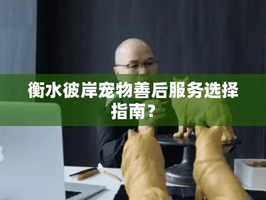 衡水彼岸宠物善后服务选择指南？