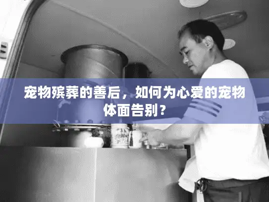 宠物殡葬的善后，如何为心爱的宠物体面告别？