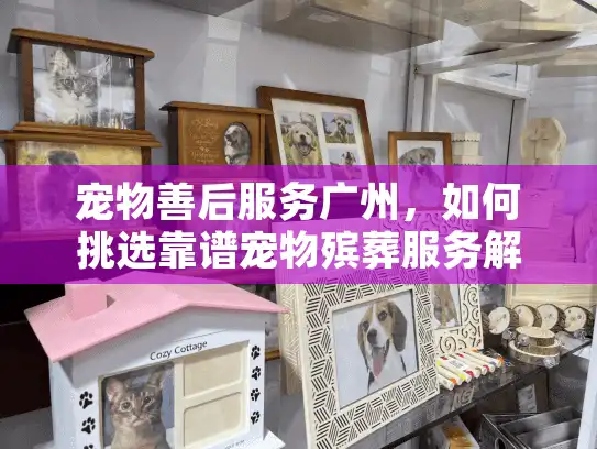 宠物善后服务广州，如何挑选靠谱宠物殡葬服务解决心痛难题？