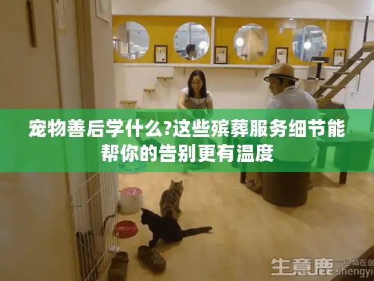 宠物善后学什么?这些殡葬服务细节能帮你的告别更有温度