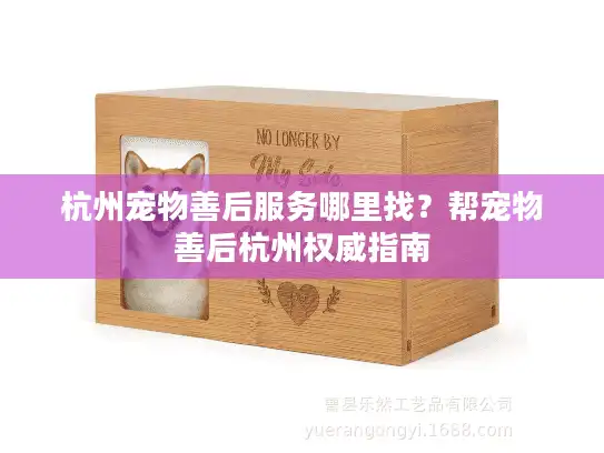 杭州宠物善后服务哪里找？帮宠物善后杭州权威指南