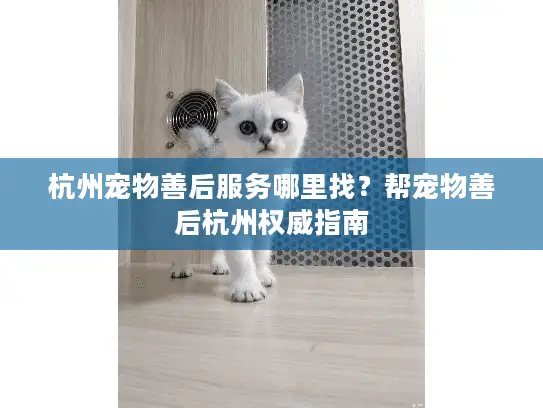 杭州宠物善后服务哪里找？帮宠物善后杭州权威指南