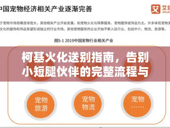 柯基火化送别指南，告别小短腿伙伴的完整流程与费用解析