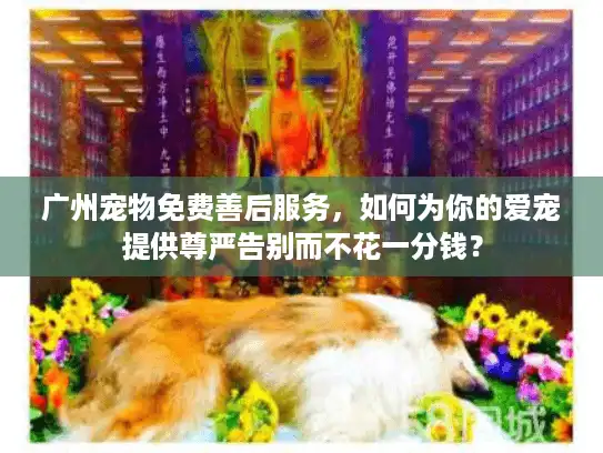广州宠物免费善后服务，如何为你的爱宠提供尊严告别而不花一分钱？