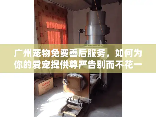 广州宠物免费善后服务，如何为你的爱宠提供尊严告别而不花一分钱？