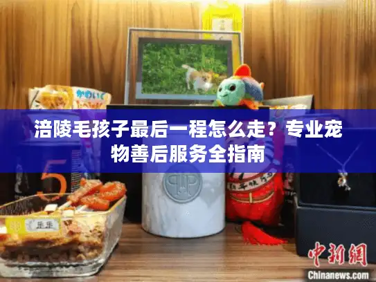 涪陵毛孩子最后一程怎么走？专业宠物善后服务全指南