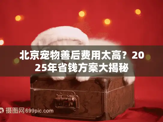 北京宠物善后费用太高？2025年省钱方案大揭秘