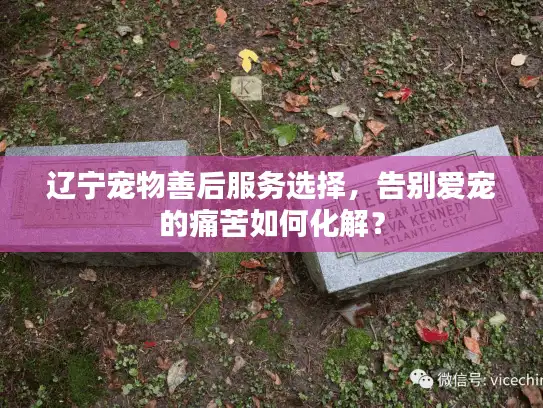 辽宁宠物善后服务选择，告别爱宠的痛苦如何化解？