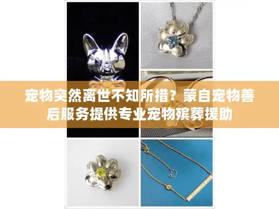 宠物突然离世不知所措？蒙自宠物善后服务提供专业宠物殡葬援助