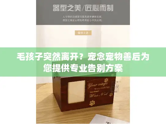 毛孩子突然离开？宠念宠物善后为您提供专业告别方案