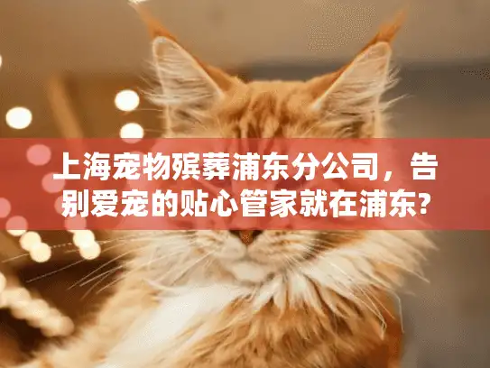 上海宠物殡葬浦东分公司，告别爱宠的贴心管家就在浦东?