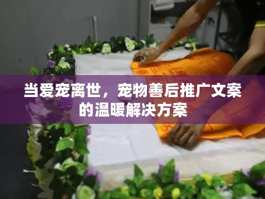 当爱宠离世，宠物善后推广文案的温暖解决方案