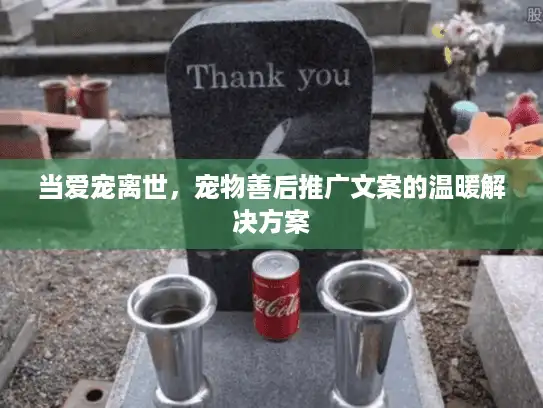 当爱宠离世，宠物善后推广文案的温暖解决方案